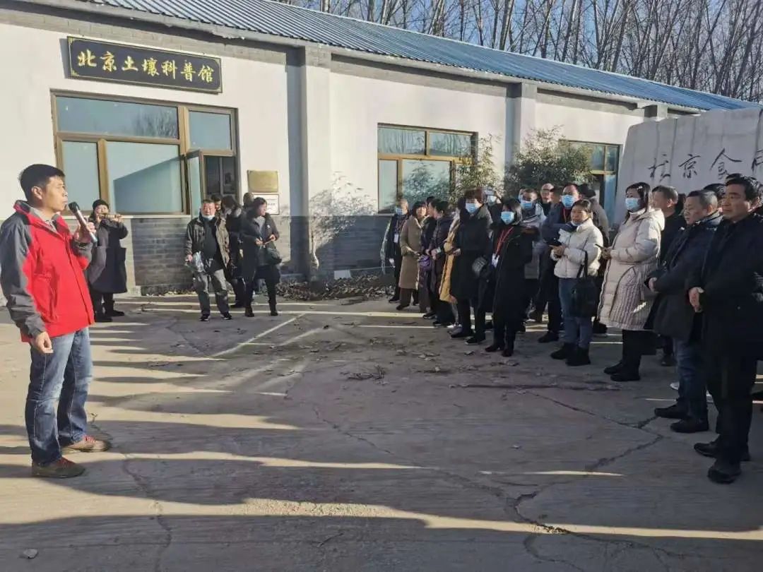 北京农民种植致富_致富经农业种植_农民致富种植项目