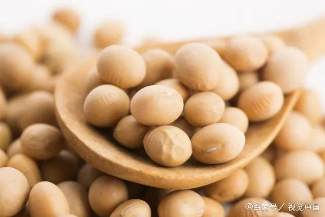 大豆圆叶高产还是尖叶高产_种植圆叶大豆技术要点_圆叶大豆种植技术