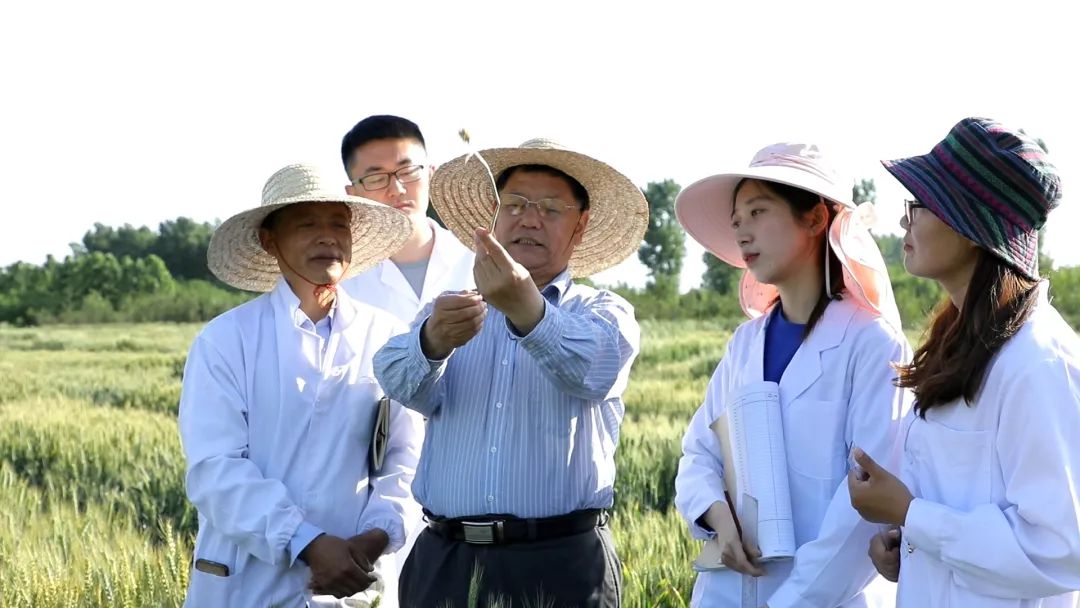 山东青岛种植什么作物最多_青岛种植基地_青岛种植致富