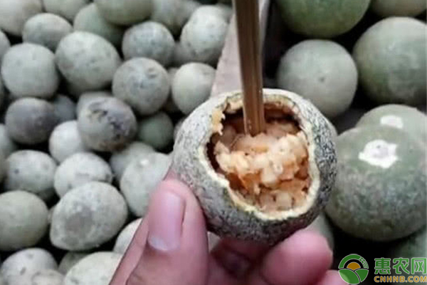 十大臭味水果有哪些？