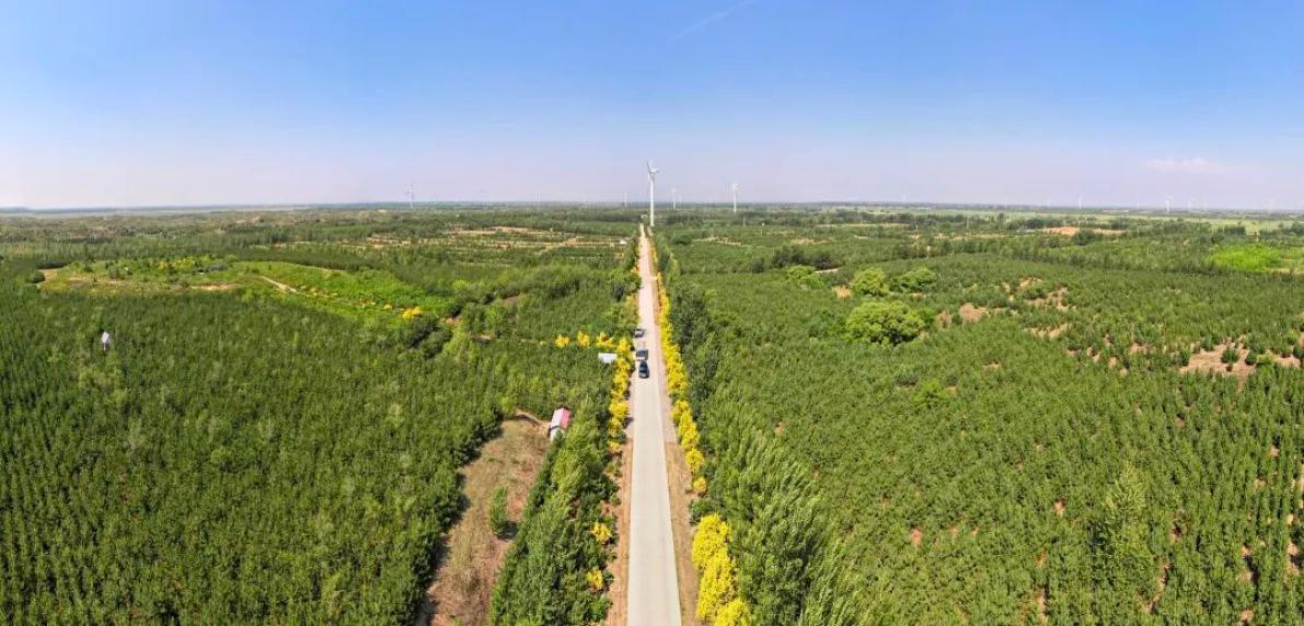 科尔沁沙地的中国宣言——内蒙古努力创造防沙治沙新奇迹系列报道之二