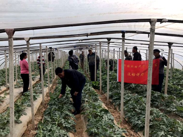 致富养殖奔小康_致富路上奔小康用语_致富路上奔小康