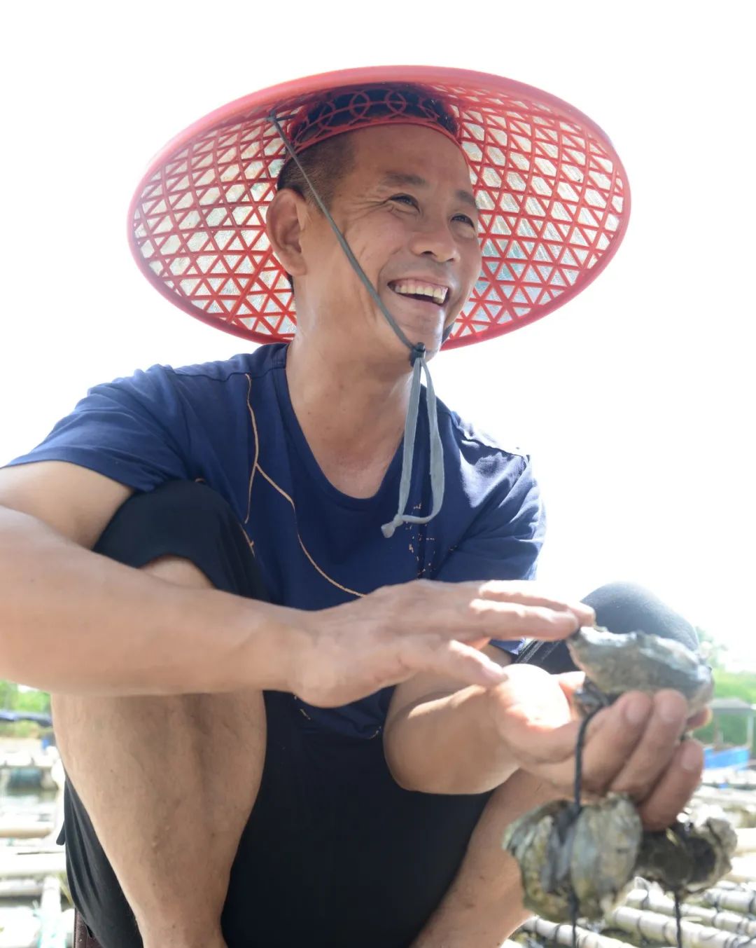 养殖生蚝致富_生蚝养殖投资_致富养殖生蚝图片