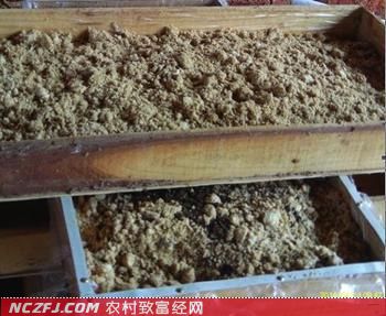 2016致富经养蚯蚓视频_致富经蚯蚓养殖技术_致富经蚯蚓