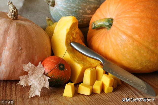 南瓜花叶黄化植株矮小，施肥、打药没效果，那很可能是得了病毒病
