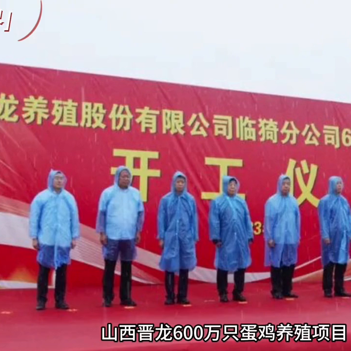 蛋鸡养殖视频教程_蛋鸡养殖技术视频全集_养蛋鸡视频大全视频农户