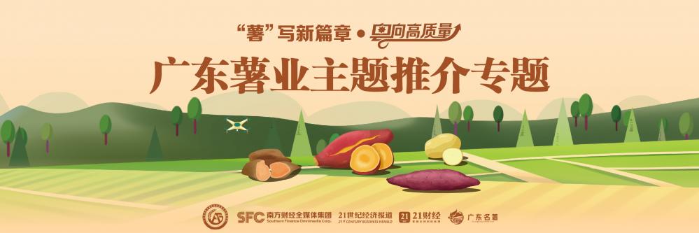 “小薯”已成“大业”，广东薯业阔步走向产业化、国际化