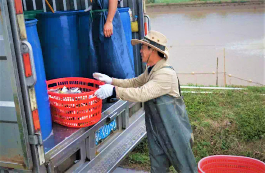 致富养殖罗非鱼视频_罗非鱼养殖效益_致富的罗非鱼养殖