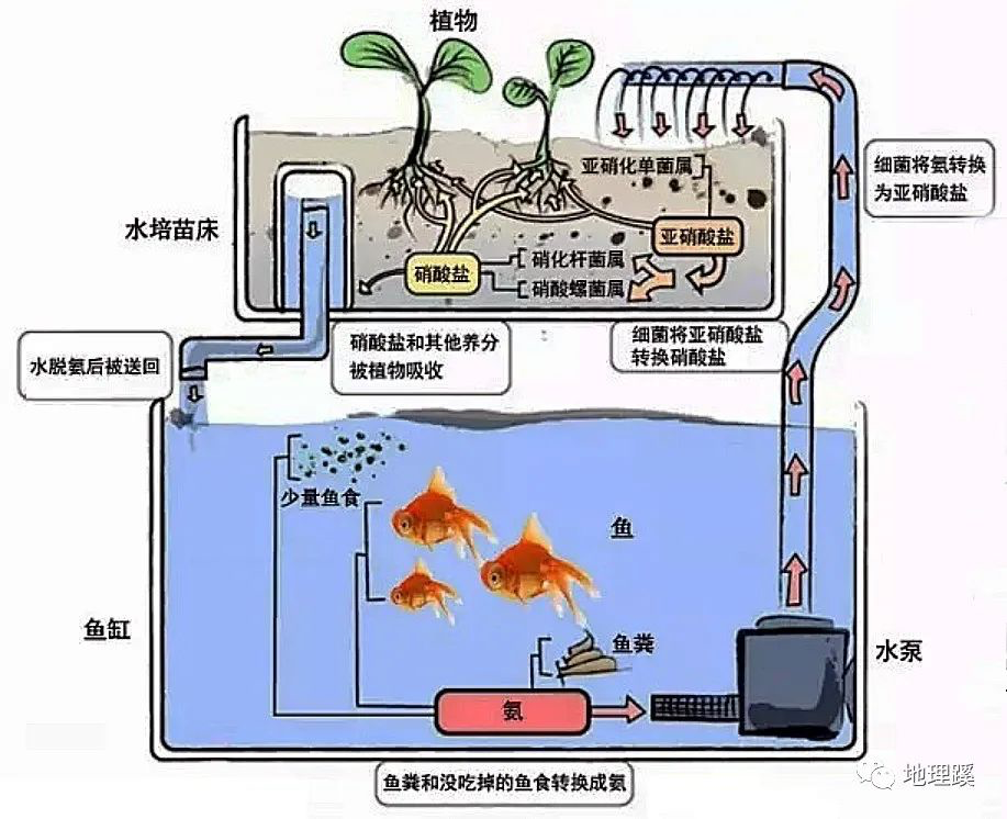 养殖鱼塘人员技术要求_养殖鱼塘技术人员_鱼塘养殖技术管理