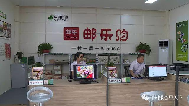 种植致富药材_致富种植草药有哪些_致富经草药种植