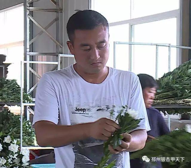 种植致富药材_致富种植草药有哪些_致富经草药种植