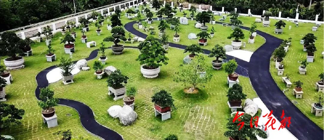 农村致富项目种植业_休闲农业种植致富_农民致富种植项目