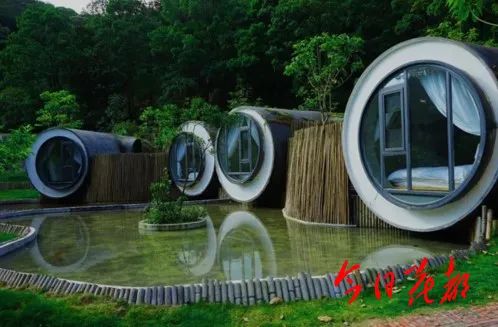 休闲农业种植致富_农村致富项目种植业_农民致富种植项目