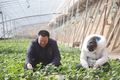 庄稼汉的大棚“致富经”――记都兰县香日德镇下柴源村致富带头人王亭荣
