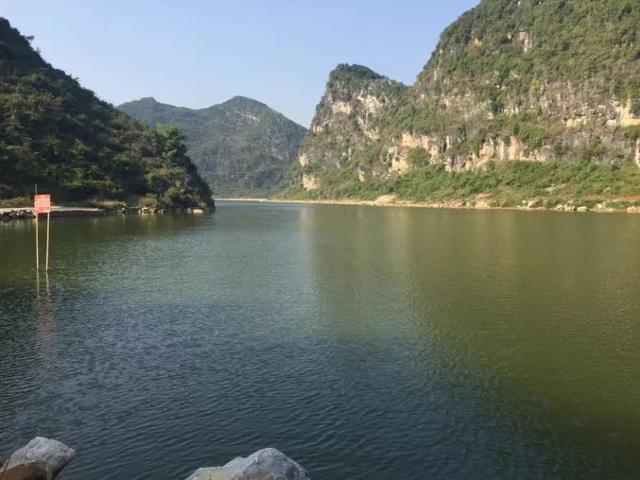 农村致富新项目种植业_农业致富种植项目_休闲农业种植致富