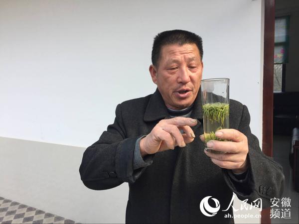 致富经茶叶_种茶致富经_因茶致富
