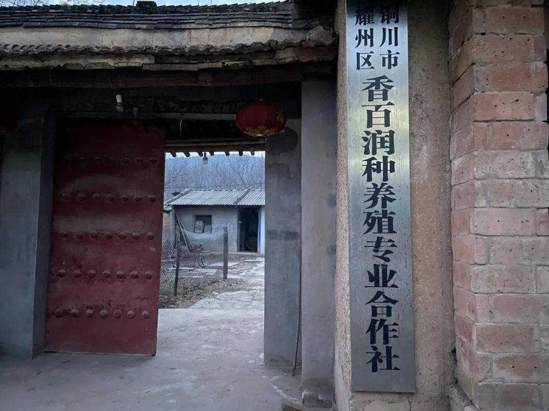 农村养殖致富故事_特色养殖致富故事_致富养殖特色故事有哪些