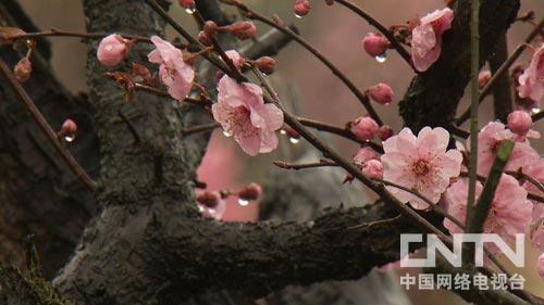 中央致富电视台网站官网_中央电视台致富经网_中央致富频道视频
