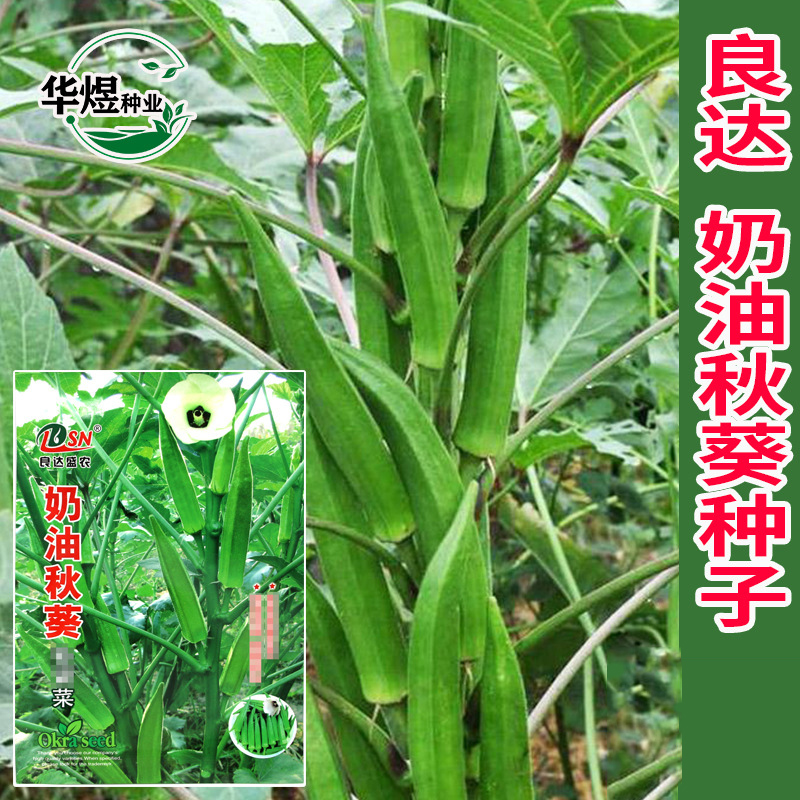 种植致富花_致富种植视频全集_种花致富选什么品种