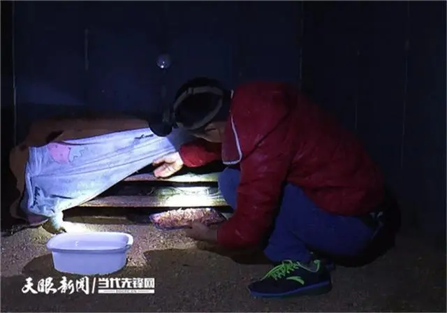 「我的脱贫故事」我的致富“蛇”彩丨岑巩县客楼镇两江村村民舒祥