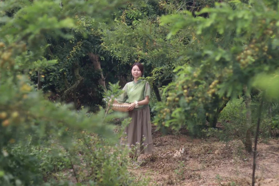 种树致富全部视频_树根种植致富_树根的种植
