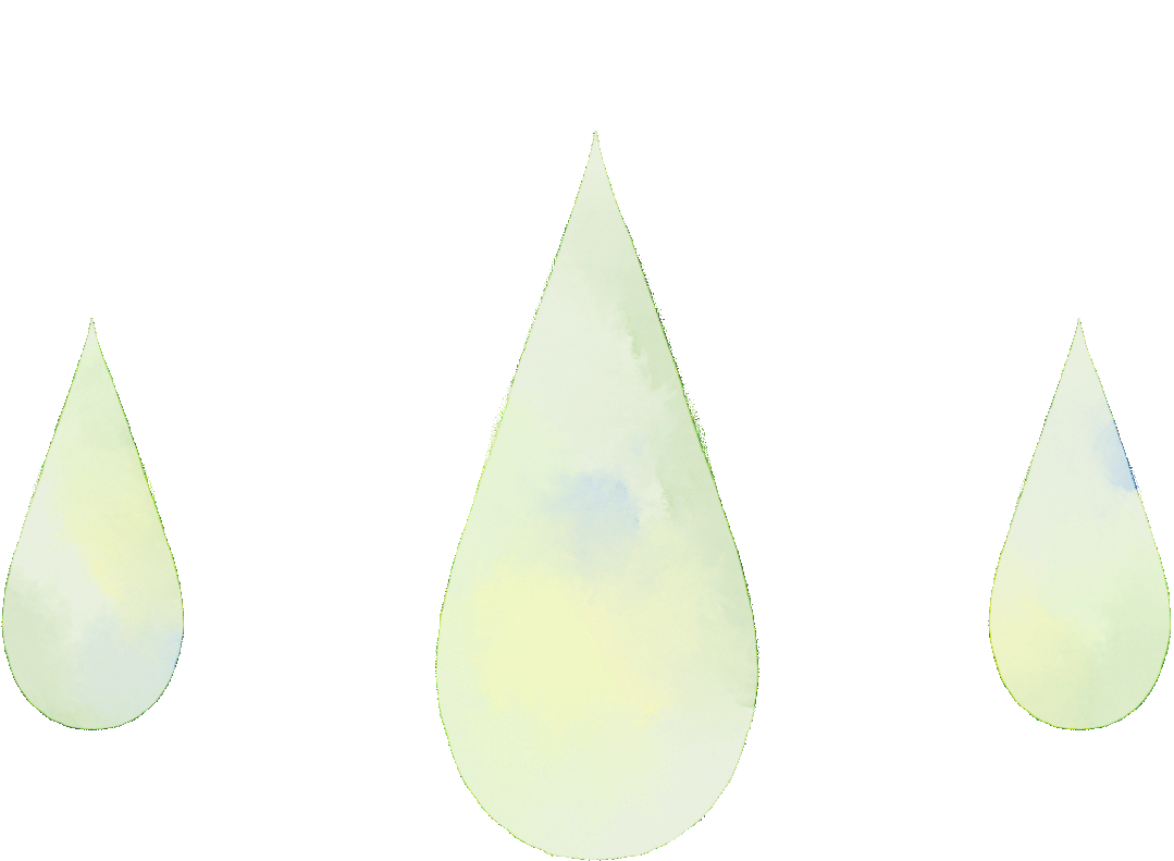 种树致富全部视频_树根的种植_树根种植致富