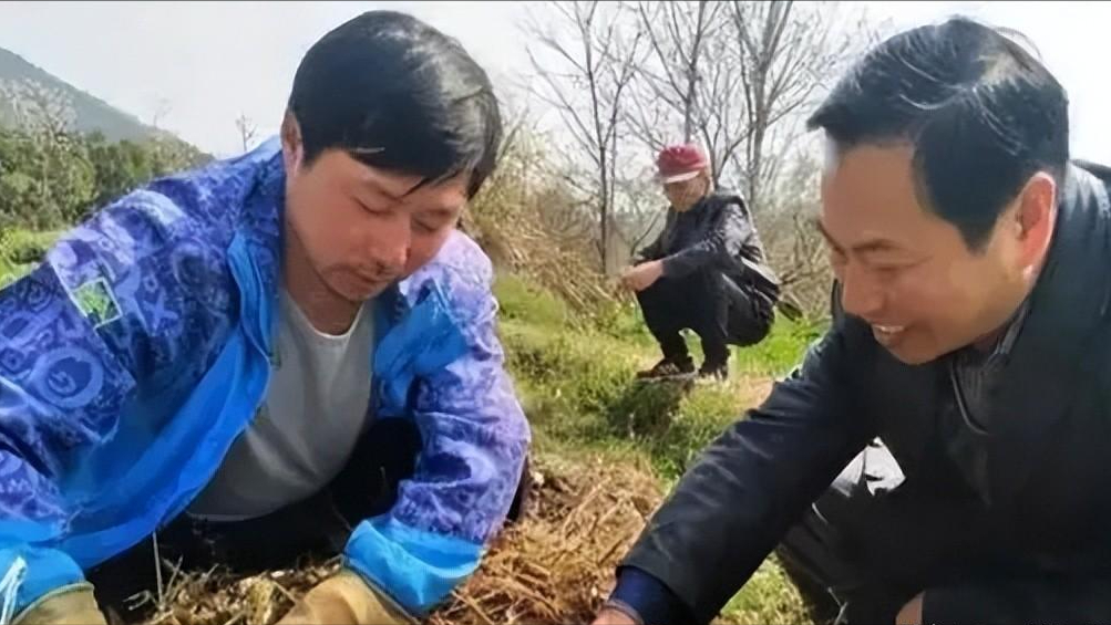 广西养牛_广西牛养殖致富_广西种草养牛