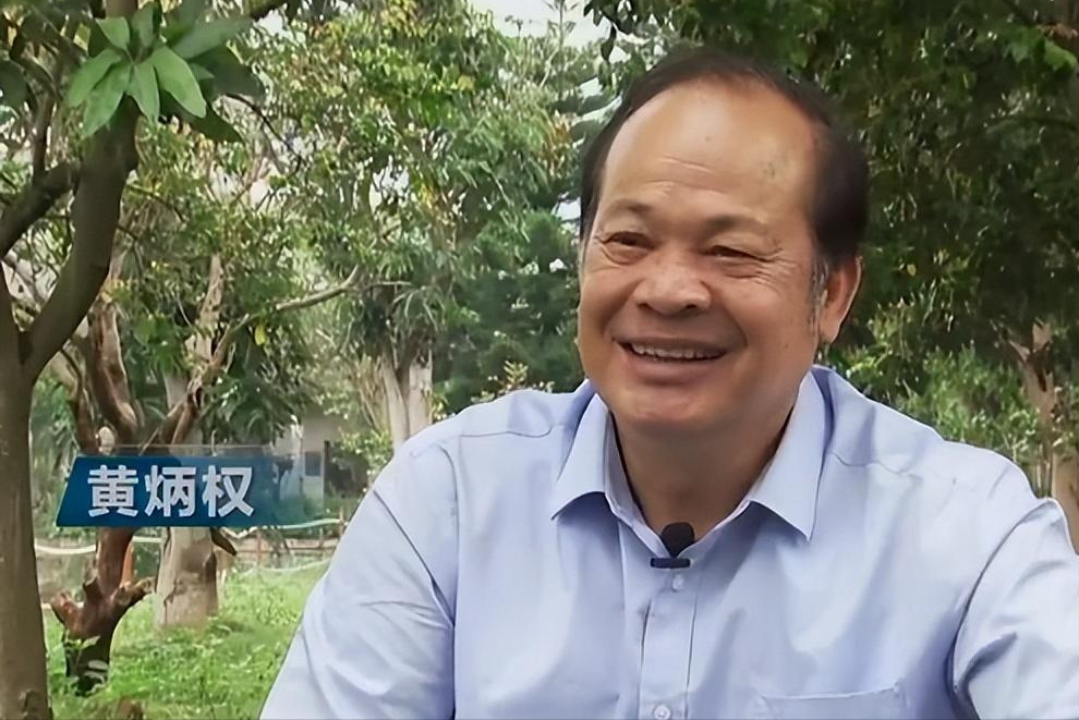 广西种草养牛_广西养牛_广西牛养殖致富