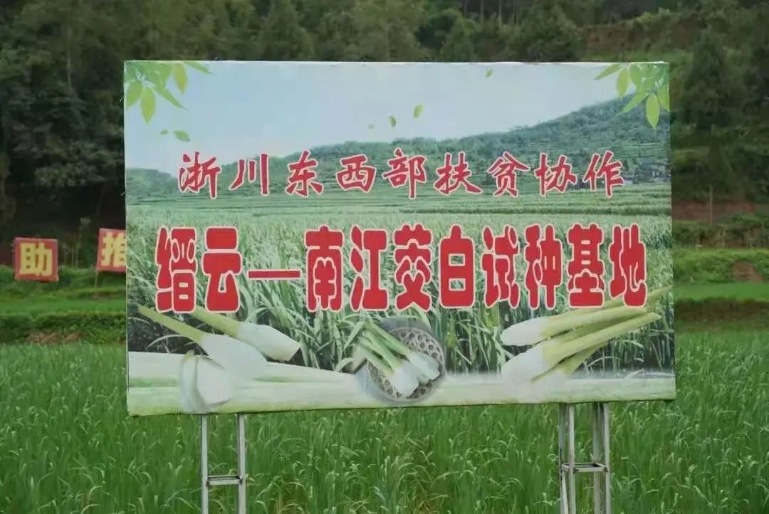 致富经龙鱼大王_致富经王大哈_致富大王鱼龙虾怎么样