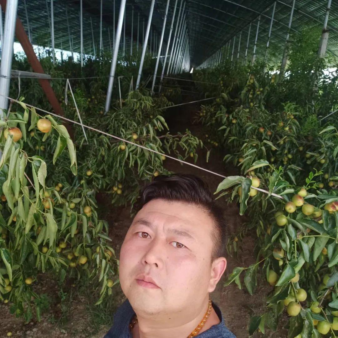西瓜种植赚钱吗_西瓜种植致富能手_西瓜种植铺就致富路