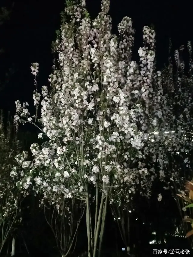 范蠡养殖业_范蠡著作致富奇书_范蠡种植致富故事