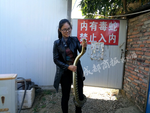 致富经养龟2018年全集_致富经养蛇是我一辈子的事_致富经养毒蛇