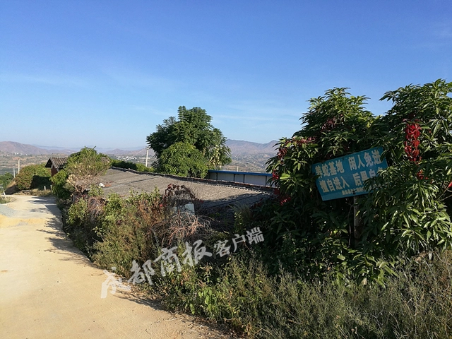 致富经养蛇是我一辈子的事_致富经养龟2018年全集_致富经养毒蛇