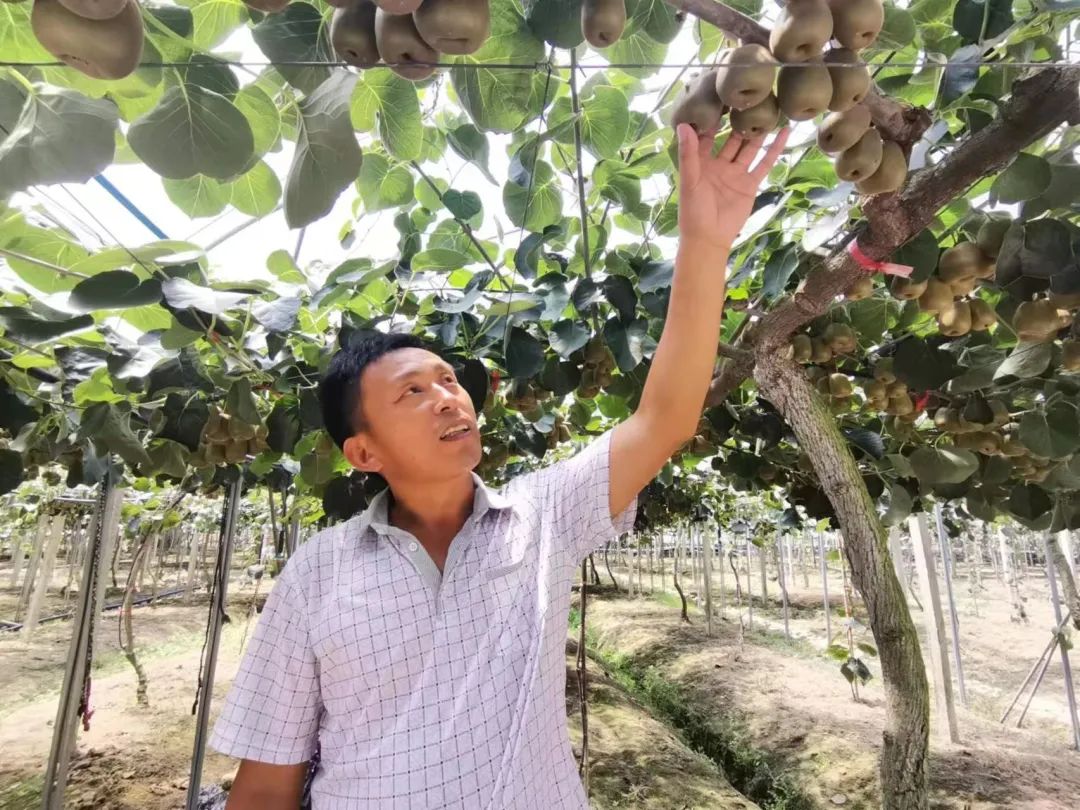 农民播种小麦_19岁农民工种植致富小麦_种小麦挣钱吗