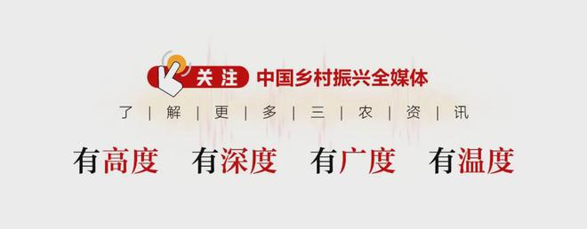 致富经创业项目农村养殖牛_养牛致富经_良种牛养殖致富