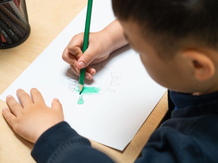 幼儿园办园经验分享_幼儿园优质办学经验_幼儿园办园条件优质