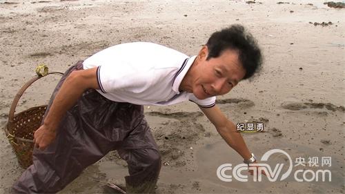 奇遇黑泥里的跳跳鱼之后