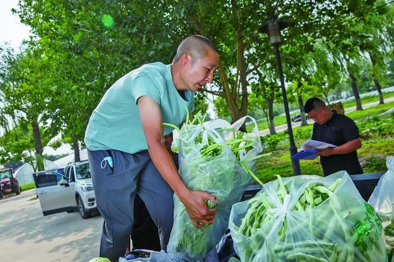 19岁农民工种植致富小麦_种植小麦有什么补贴_农民种小麦有补贴政策