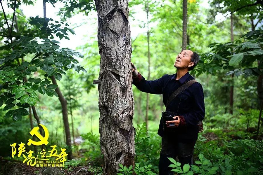 19岁农民工种植致富小麦_农民种植小麦的辛苦的过程_种小麦挣钱吗