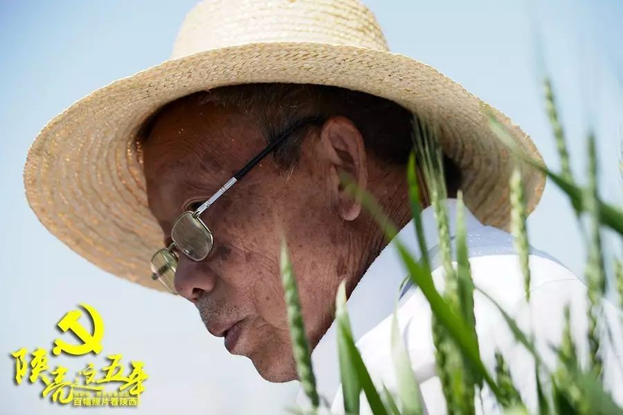 种小麦挣钱吗_农民种植小麦的辛苦的过程_19岁农民工种植致富小麦