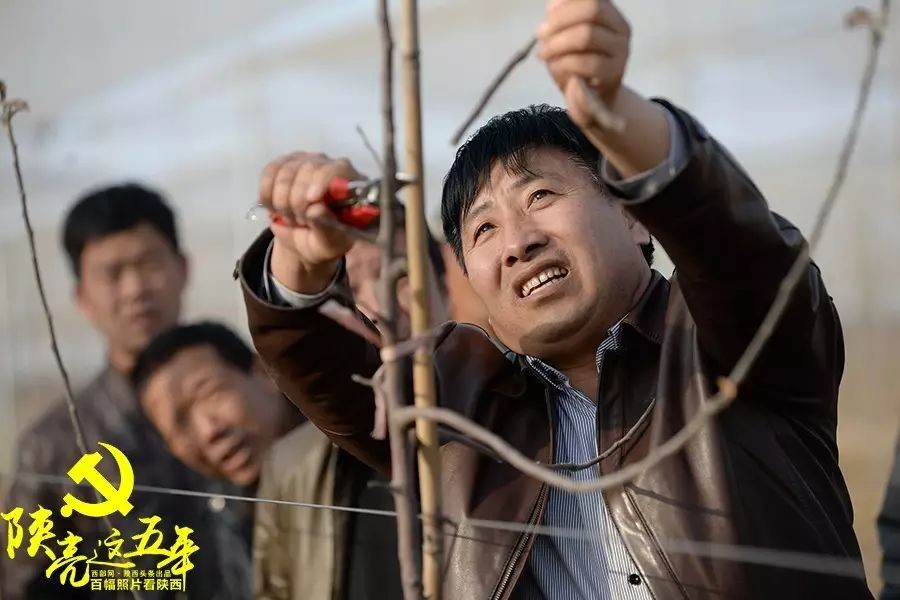 农民种植小麦的辛苦的过程_种小麦挣钱吗_19岁农民工种植致富小麦