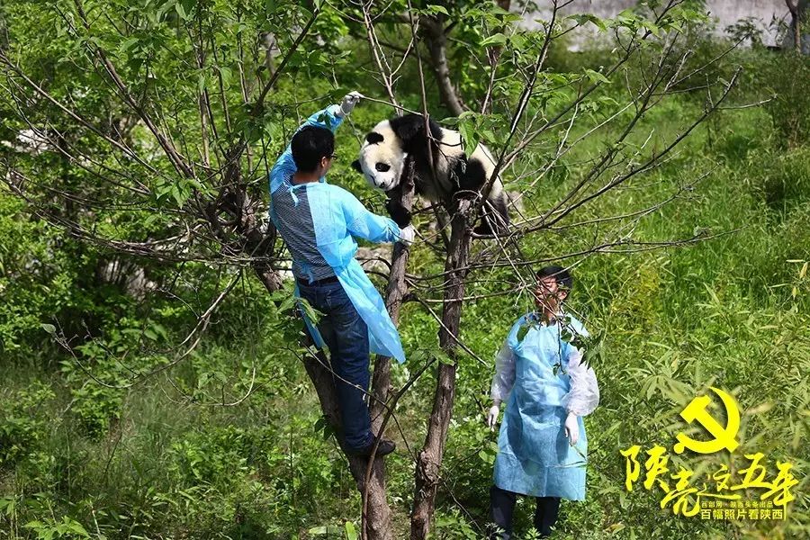 农民种植小麦的辛苦的过程_种小麦挣钱吗_19岁农民工种植致富小麦