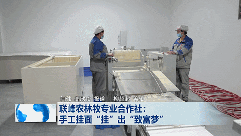 柳林：手工挂面“挂”出“致富梦”