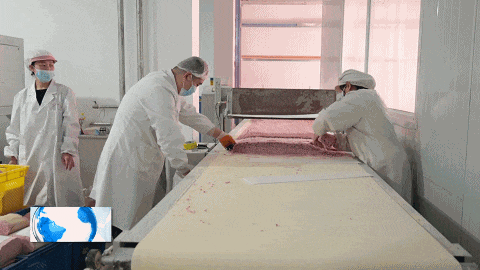 致富经挂面_挂面赚钱吗_农家手工挂面