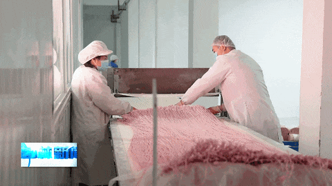 致富经挂面_挂面赚钱吗_农家手工挂面
