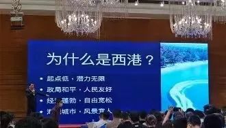 致富韭菜种植技术与管理_致富经韭菜种植技术视频_韭菜种植技术致富经