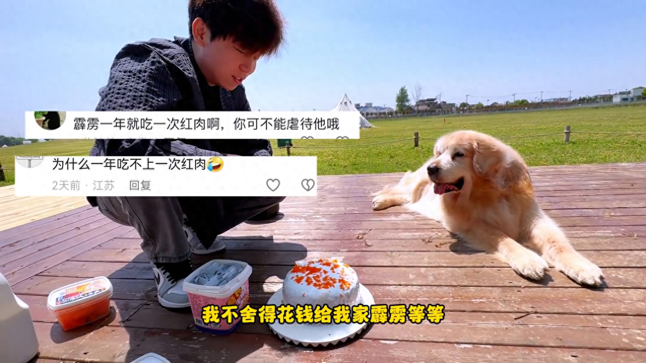 有人问我霹雳的长寿秘诀，那我就分享一下养金毛15年的一些经验