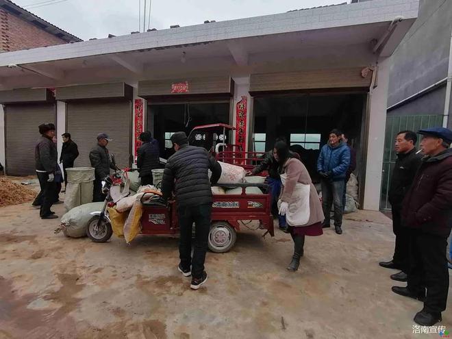 致富种植桔梗项目怎么样_桔梗种植致富项目_种植桔梗赚钱吗