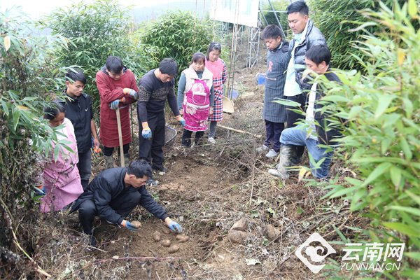 致富养殖信息_兄弟养殖致富新闻_养殖致富经2019年全集