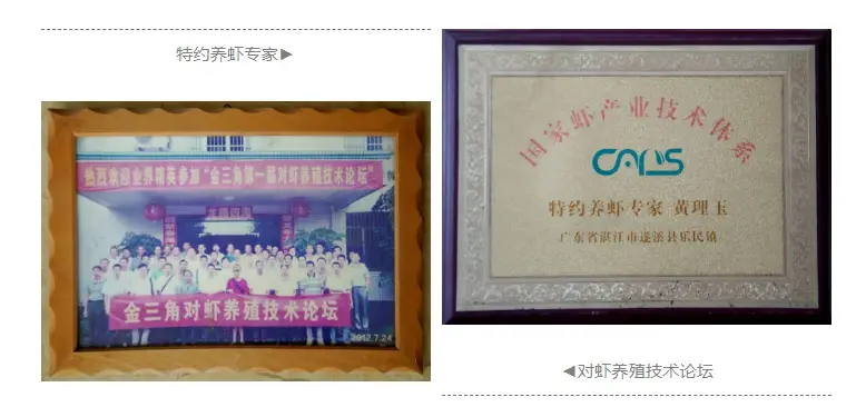 致富经养麻虾_养殖致富虾_养虾项目可靠吗